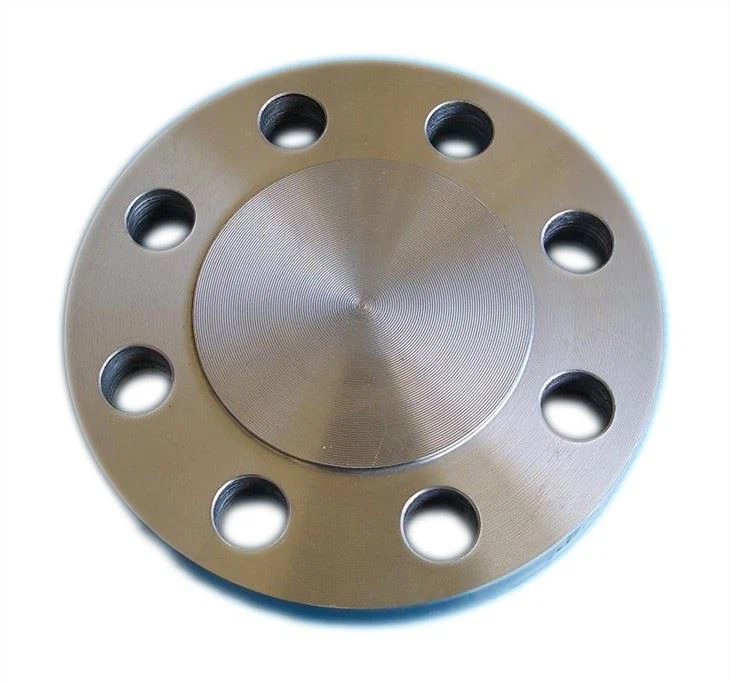 S31803 BLIND FLANGE
