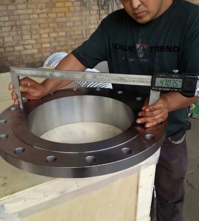 S31803 BLIND FLANGE